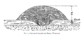 Thumbnail for version as of 04:40, 28 November 2021